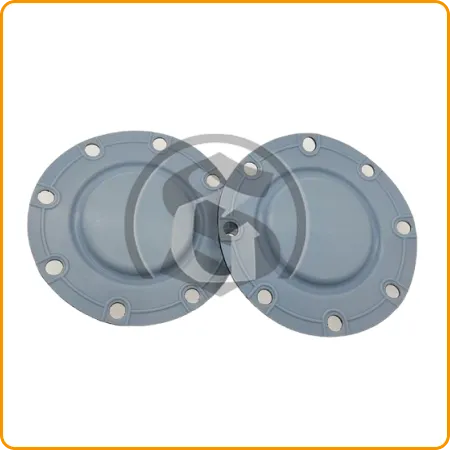 دیافراگم لاستیکی PTFE